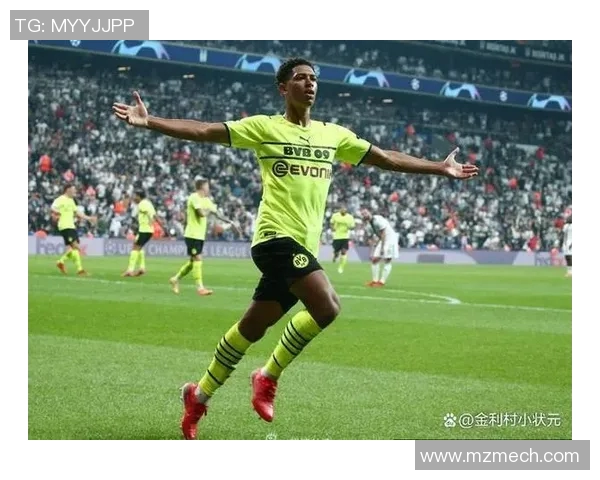 海口体育明星排行榜揭晓谁将成为新一代运动偶像