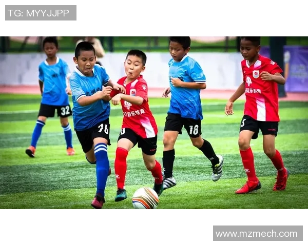 最新华籍足球明星名单及其成就分析与未来展望